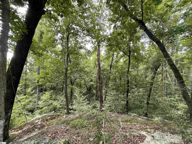 Property image 5 of 0 Pine Shadow Lane in The Cliffs at Glassy, Landrum, SC 29356