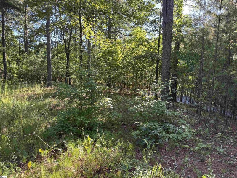 Property image 2 of 527 Brookgreen Trail in The Cliffs at Keowee Falls South, Salem, SC 29676