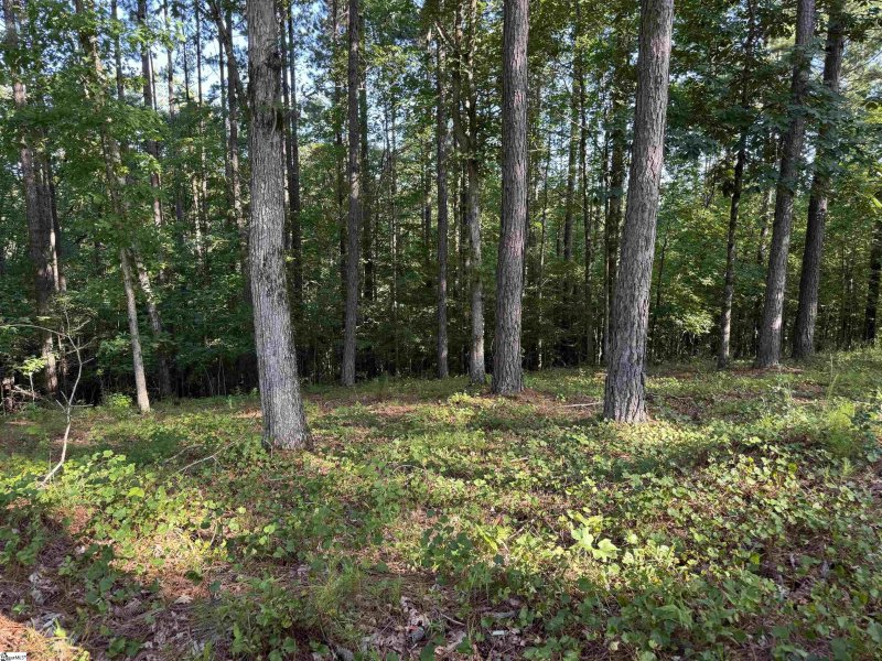 Property image 3 of 527 Brookgreen Trail in The Cliffs at Keowee Falls South, Salem, SC 29676