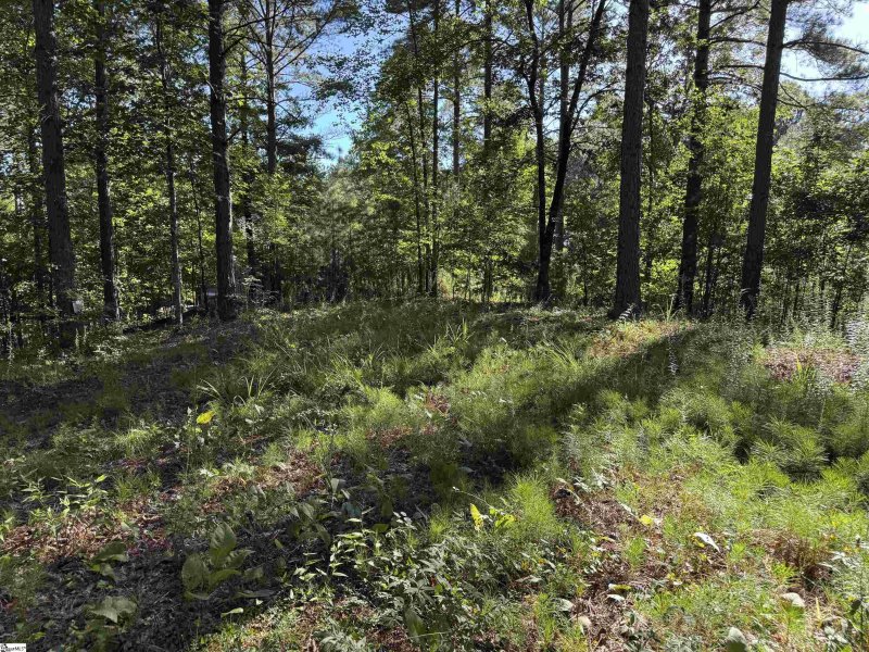 Property image 4 of 527 Brookgreen Trail in The Cliffs at Keowee Falls South, Salem, SC 29676