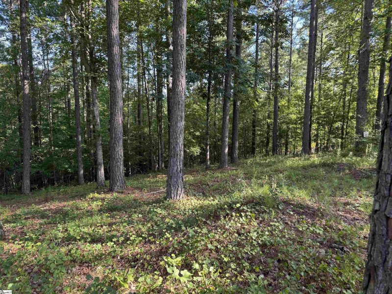 Property image 5 of 527 Brookgreen Trail in The Cliffs at Keowee Falls South, Salem, SC 29676