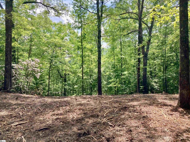 Property image 2 of 5 Water View Court in Cliffs Valley, Travelers Rest, SC 29690