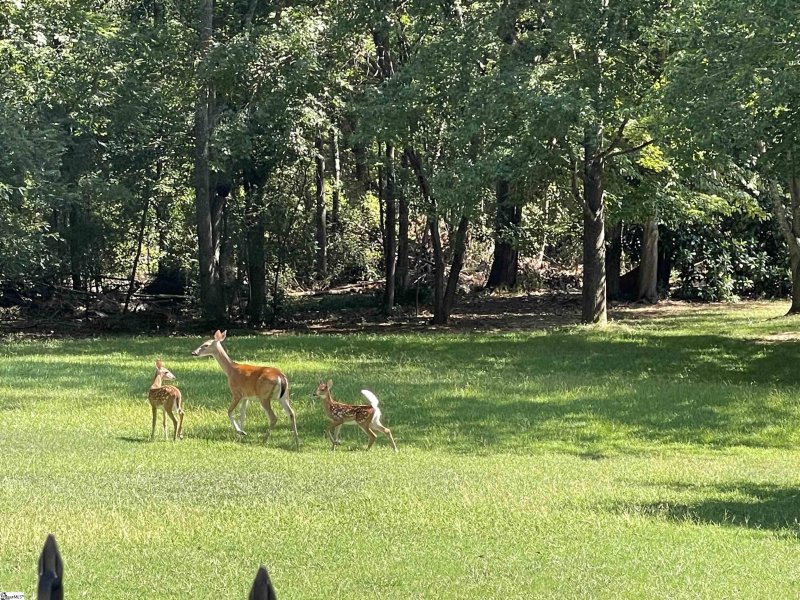 Property image 3 at 2905 Rambling Path, Anderson, SC 29621
