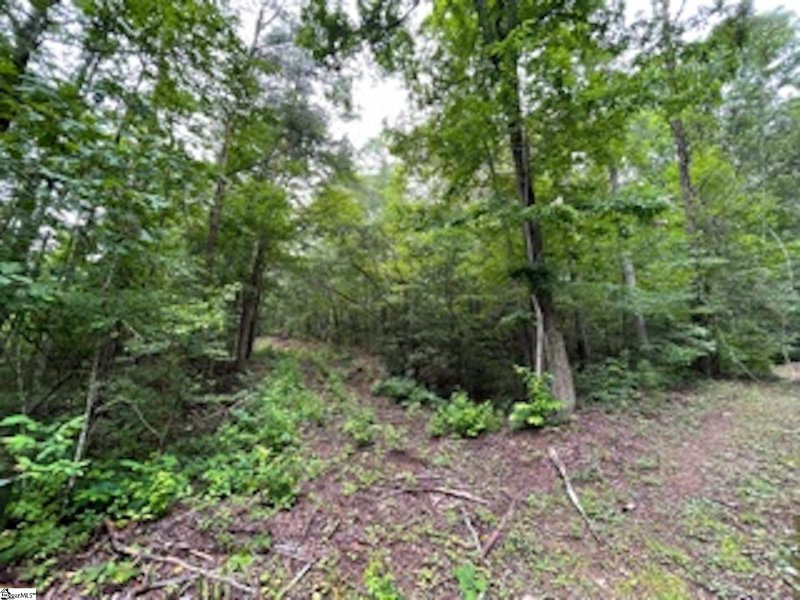 Property image 2 of 17 Queensmoor Road in Cliffs Valley, Travelers Rest, SC 29690