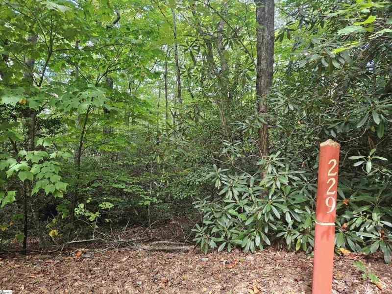 Property image 3 of 609 Cliff Ridge Drive in Cliff Ridge at Caesars Head, Cleveland, SC 29635