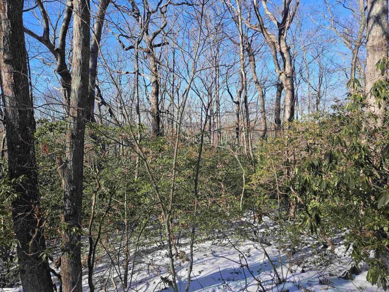 Property image 5 of 609 Cliff Ridge Drive in Cliff Ridge at Caesars Head, Cleveland, SC 29635