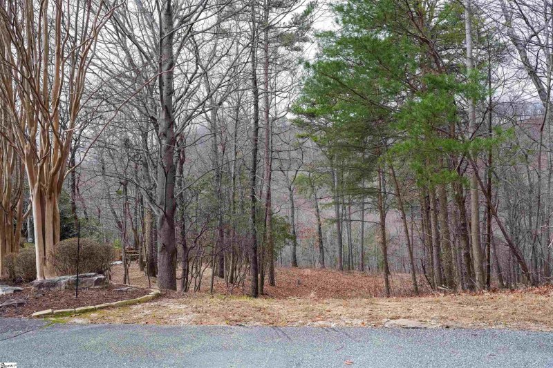 Property image 3 of 44 Mountain Oak Lane in Cliffs Valley, Travelers Rest, SC 29690