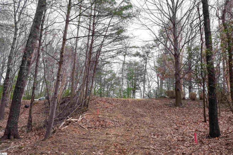 Property image 4 of 44 Mountain Oak Lane in Cliffs Valley, Travelers Rest, SC 29690