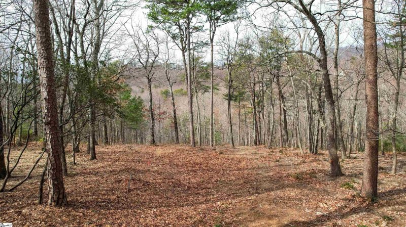 Property image 5 of 44 Mountain Oak Lane in Cliffs Valley, Travelers Rest, SC 29690