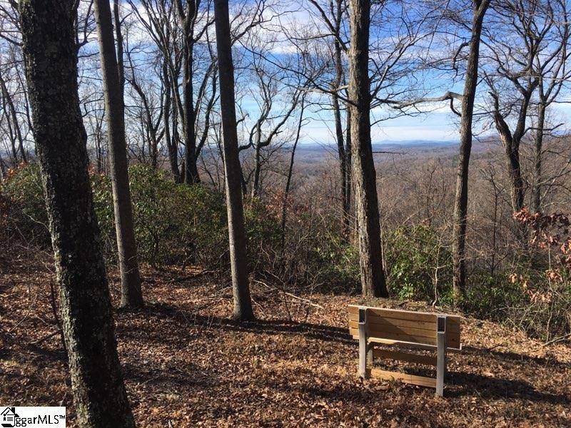 Property image 5 of 0 Hidden Glory Drive in Glassy Mountain, Landrum, SC 29356
