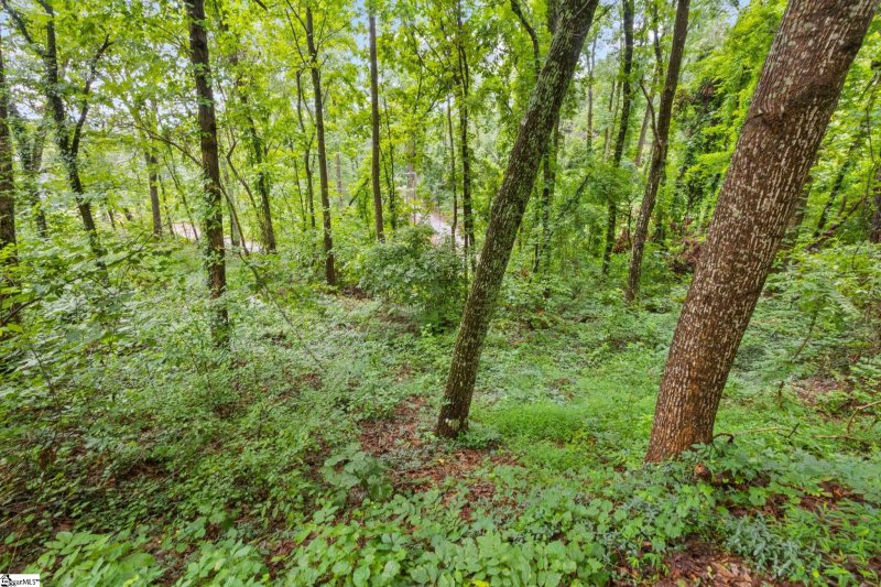 Property image 5 of 4841 Chestnut Ridge Road in Paris Mt Area, Greenville, SC 29609