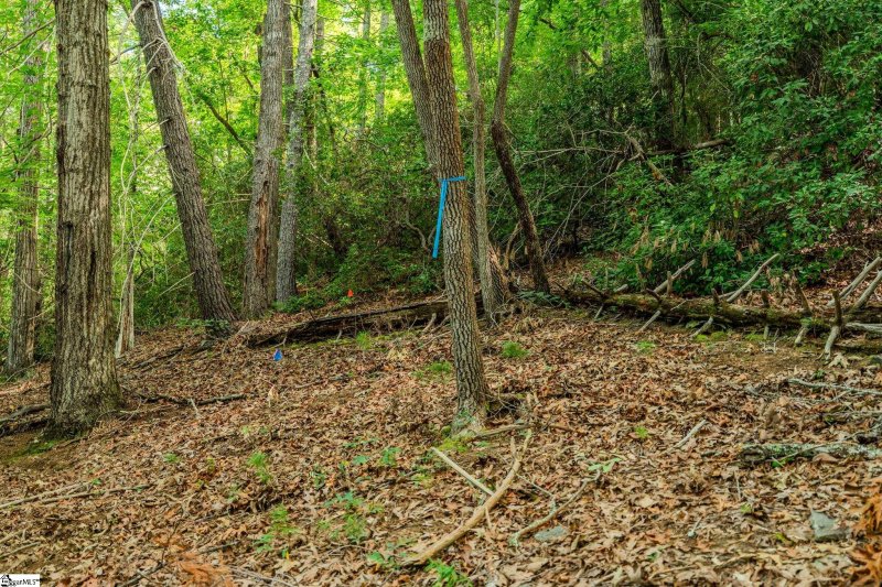 Property image 3 of 108 Blazing Star Court in The Cliffs at Keowee Vineyards, Sunset, SC 29685