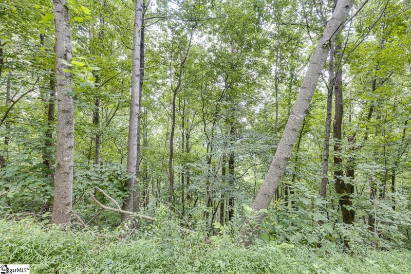 Property image 2 of 613 Western Way in The Cliffs at Glassy, Landrum, SC 29356