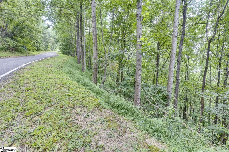 Property image 3 of 613 Western Way in The Cliffs at Glassy, Landrum, SC 29356