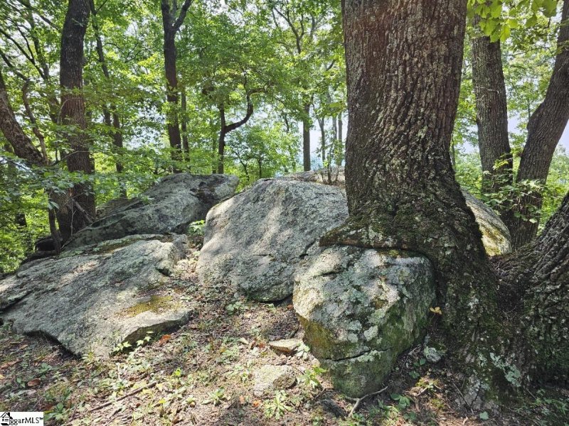 Property image 3 of 101 Southview Ledge Road in The Cliffs at Glassy, Landrum, SC 29356