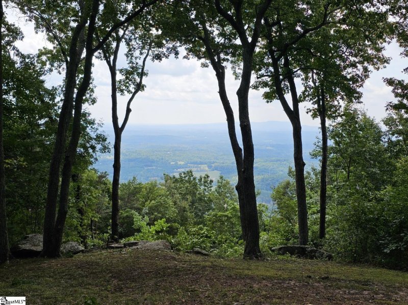 Property image 4 of 101 Southview Ledge Road in The Cliffs at Glassy, Landrum, SC 29356