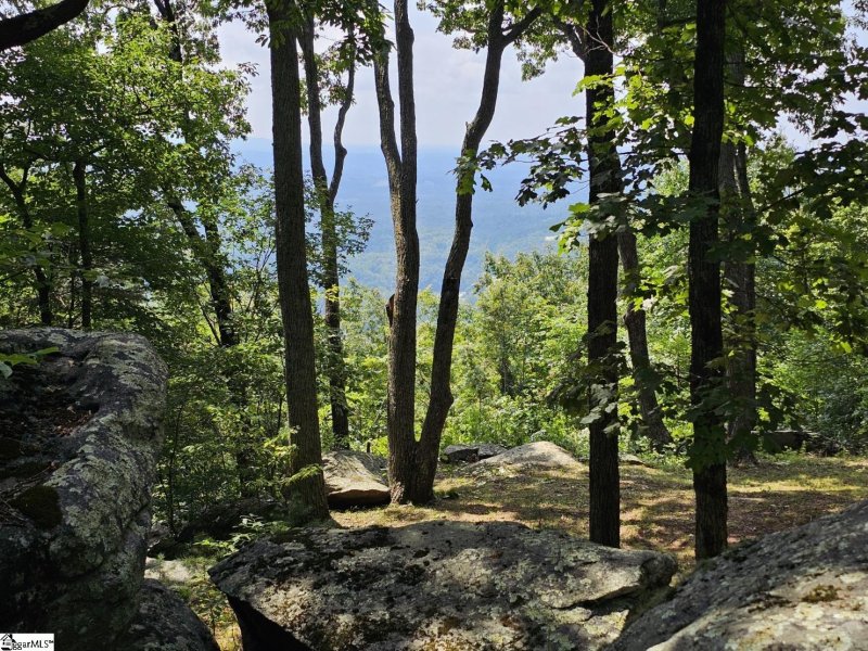 Property image 5 of 101 Southview Ledge Road in The Cliffs at Glassy, Landrum, SC 29356