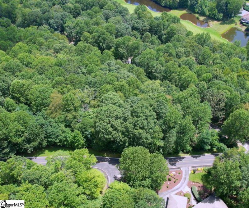 Property image 3 of 0 Snap Dragon Way in The Cliffs at Glassy, Landrum, SC 29356
