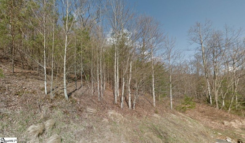 Property image 4 of 45 Foggy Cut Lane in The Cliffs at Glassy, Landrum, SC 29356