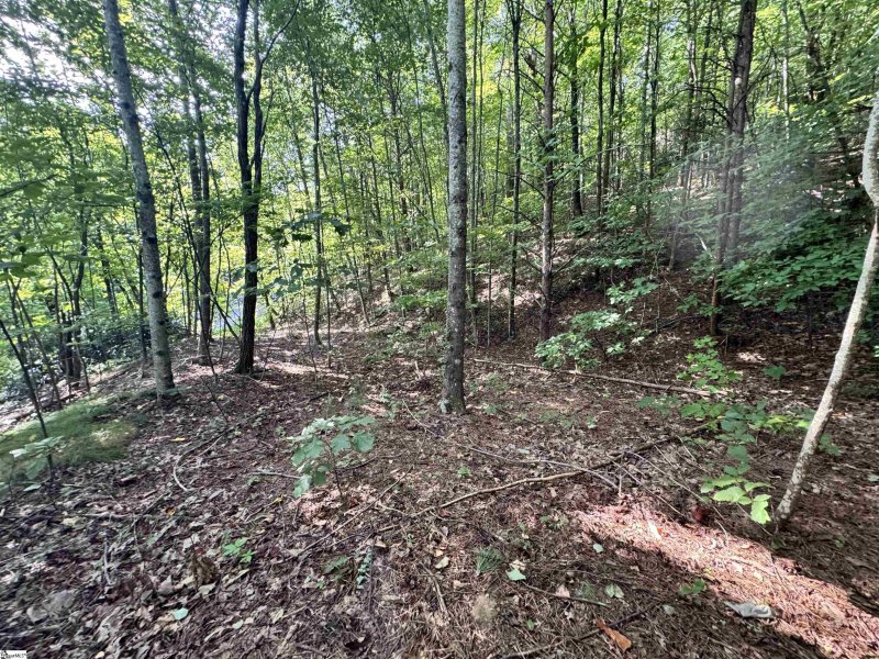 Property image 5 of 45 Foggy Cut Lane in The Cliffs at Glassy, Landrum, SC 29356