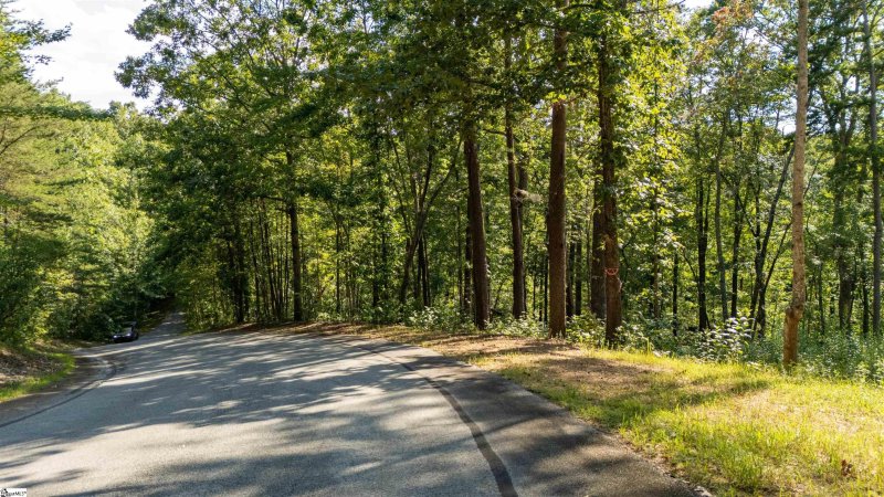 Property image 3 of 207 Luberon Lane in Crescent Mountain Vineyard, Travelers Rest, SC 29690