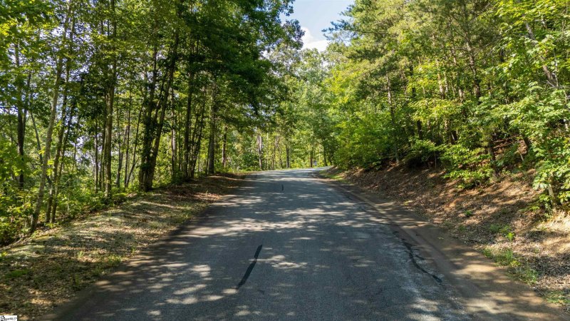Property image 4 of 207 Luberon Lane in Crescent Mountain Vineyard, Travelers Rest, SC 29690
