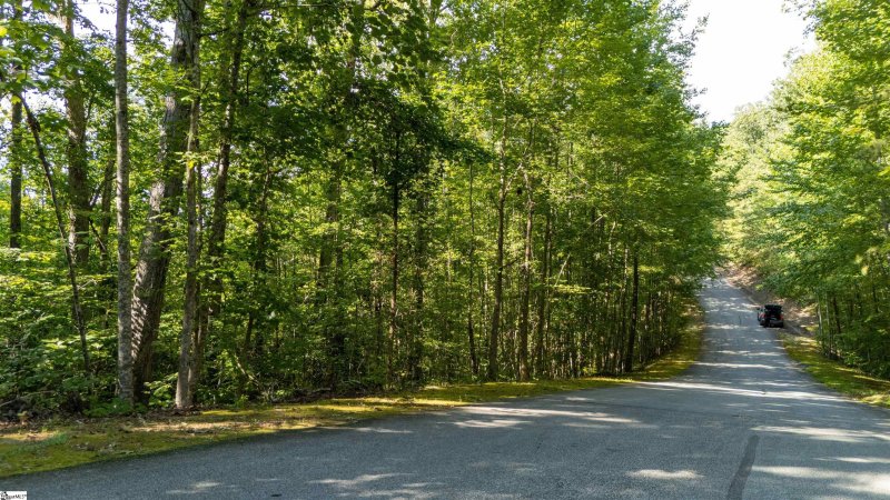 Property image 5 of 207 Luberon Lane in Crescent Mountain Vineyard, Travelers Rest, SC 29690