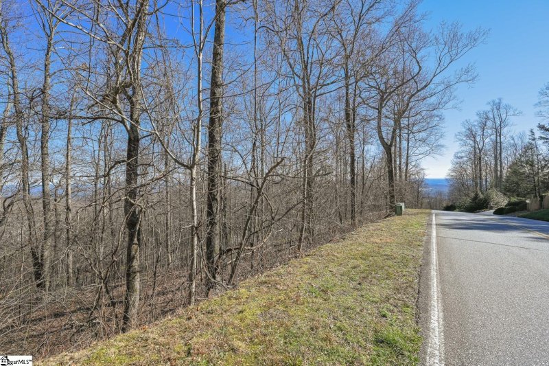 Property image 3 of 35 Foggy Cut Lane in The Cliffs at Glassy, Landrum, SC 29356