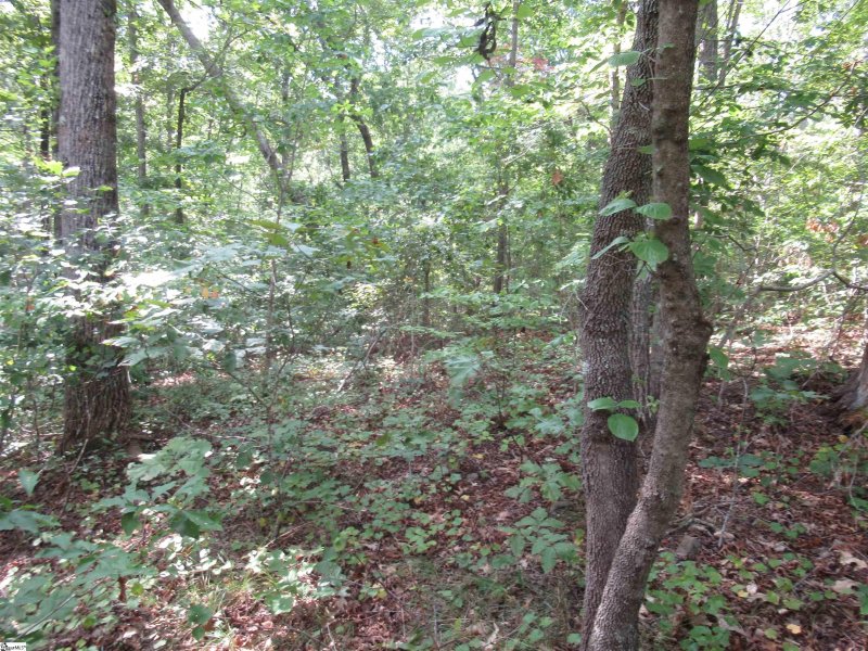 Property image 3 of 706 Scharlin Drive in Keowee Mountain Lake Estates, Pickens, SC 29671