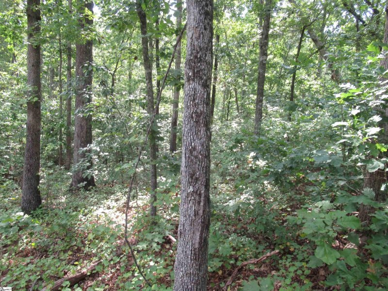 Property image 4 of 706 Scharlin Drive in Keowee Mountain Lake Estates, Pickens, SC 29671