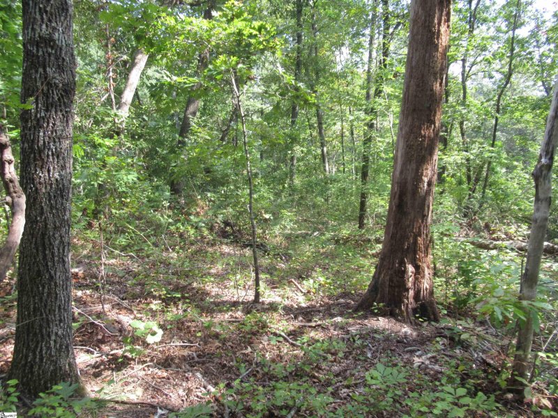 Property image 5 of 706 Scharlin Drive in Keowee Mountain Lake Estates, Pickens, SC 29671