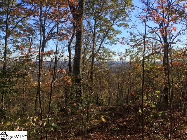 Property image 5 of 19 Grosbeak Way in The Cliffs at Glassy, Landrum, SC 29356