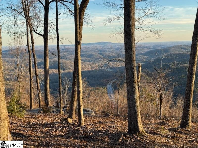 Property image 2 of 1534 Panther Park Trail in Cliffs Valley, Travelers Rest, SC 29690
