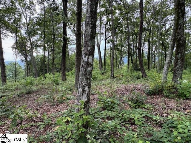 Property image 3 of 1534 Panther Park Trail in Cliffs Valley, Travelers Rest, SC 29690