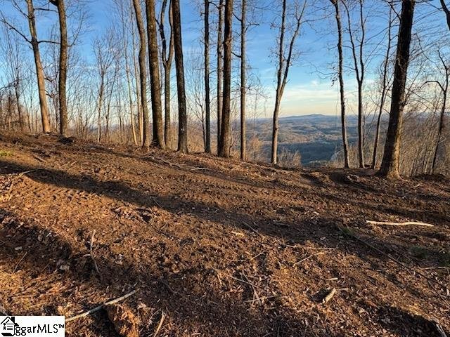 Property image 3 of 1531 Panther Park Trail in Cliffs Valley, Travelers Rest, SC 29690
