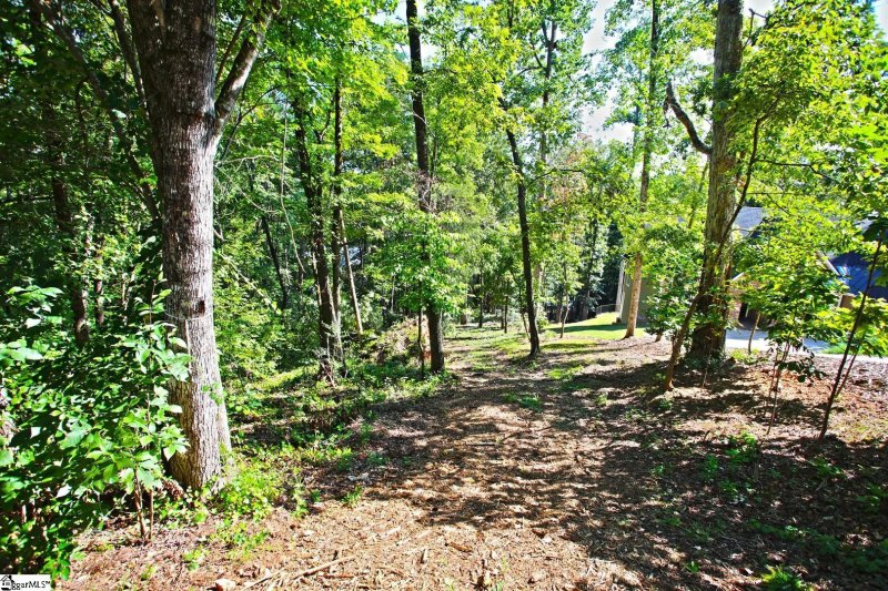 Property image 3 of 556 Riverstone Drive in Riverstone, Salem, SC 29676