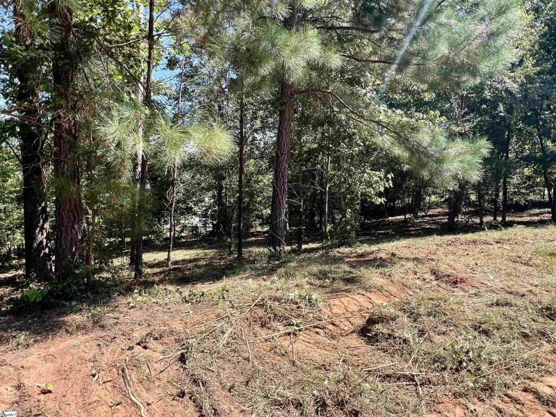 Property image 2 at 18 Tee Box Lane, Travelers Rest, SC 29690