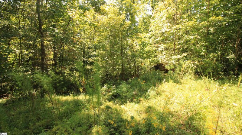 Property image 4 of Cleo Chapman Highway in The Cliffs at Keowee Vineyards, Sunset, SC 29685