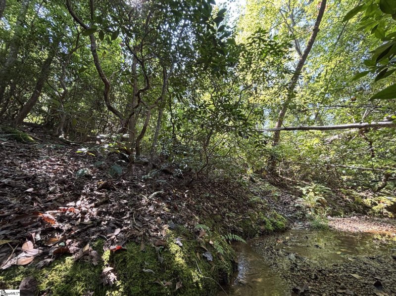 Property image 3 of 00 Whitewater Lake Road in Whitewater Lake, Salem, SC 29686