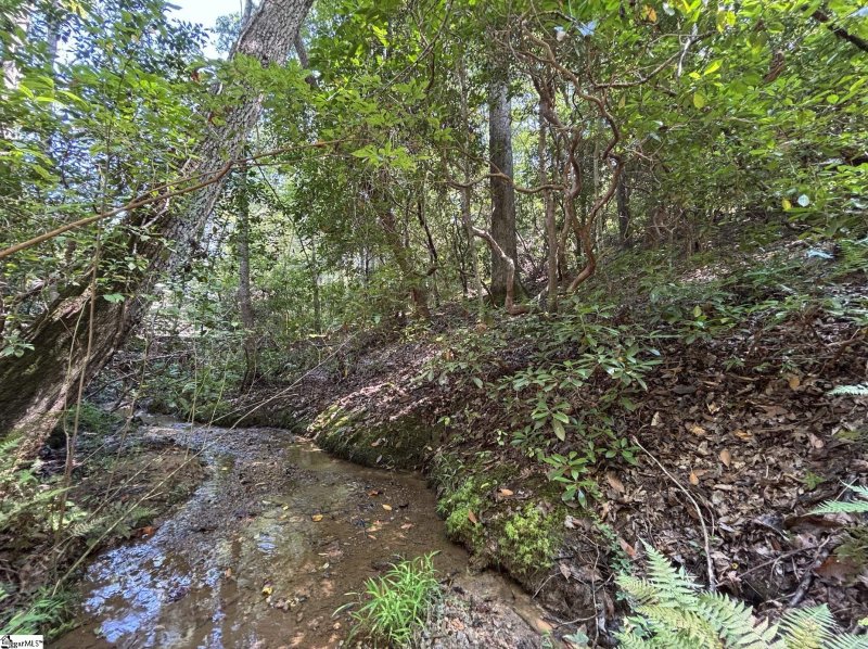 Property image 4 of 00 Whitewater Lake Road in Whitewater Lake, Salem, SC 29686