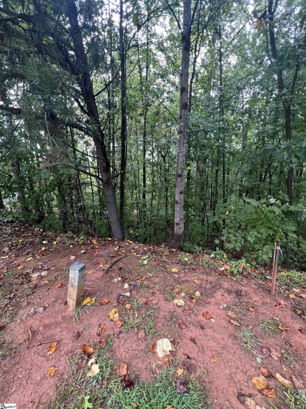 Property image 3 of 228 Laurel Valley Way in Cherokee Valley, Travelers Rest, SC 29690
