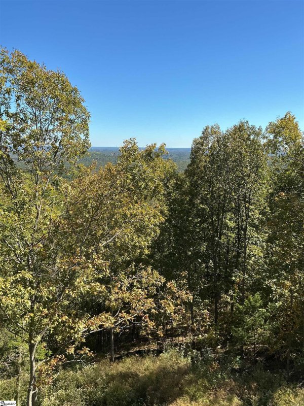 Property image 5 of 811 Raven Road in The Cliffs at Glassy, Landrum, SC 29356