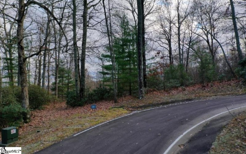 Property image 2 of 124 Mossy Glenn Drive in The Cliffs at Glassy, Landrum, SC 29356