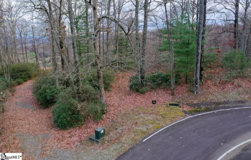 Property image 3 of 124 Mossy Glenn Drive in The Cliffs at Glassy, Landrum, SC 29356