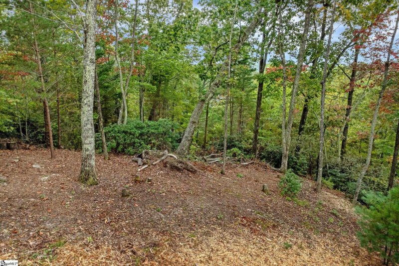 Property image 3 of 435 Augusta Links Trail in The Cliffs at Mountain Park, Travelers Rest, SC 29690