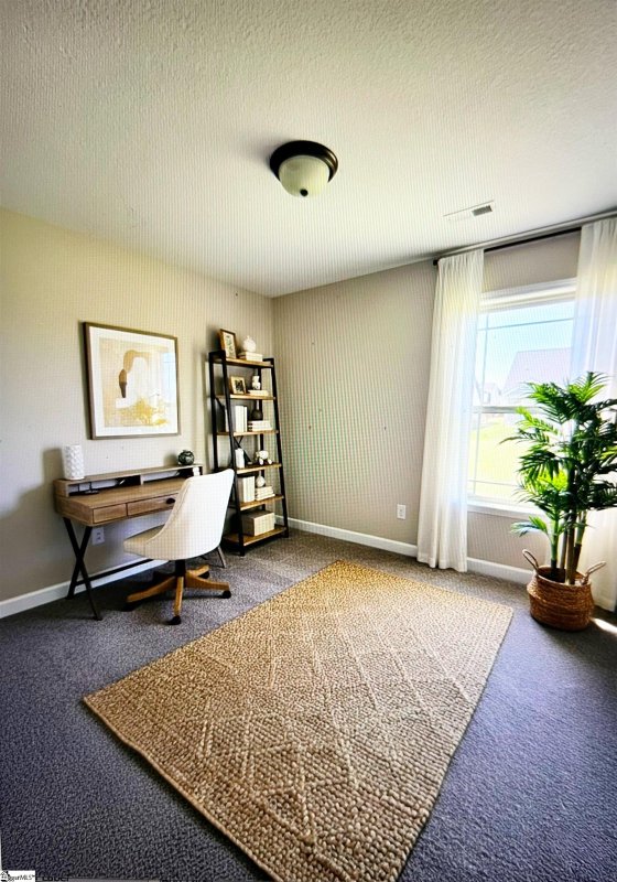 Property image 4 of 813 Alley Ridge Drive in Ridgeville Crossing, Inman, SC 29349