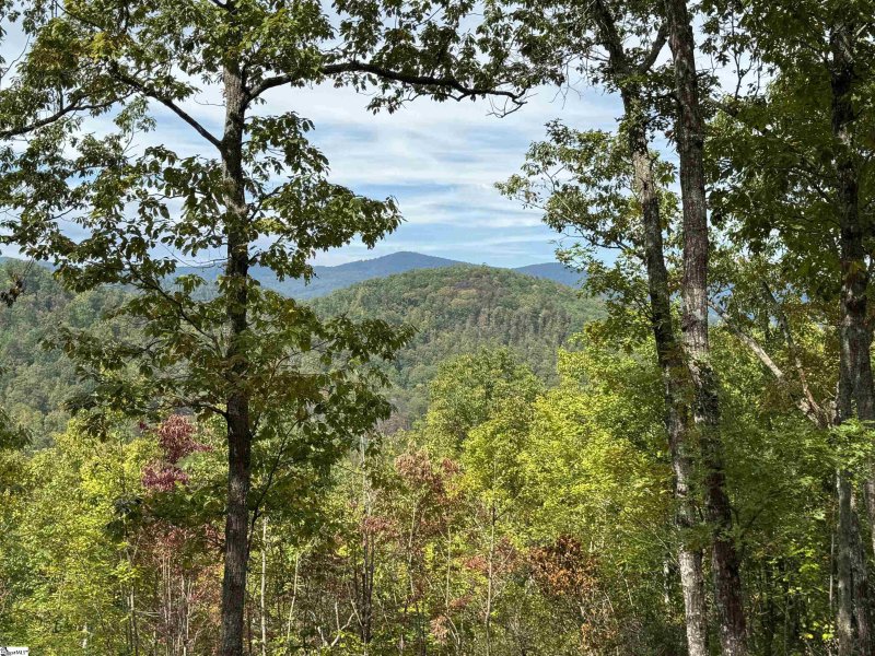 Property image 2 of 220 Blue Bonnet Trail in The Cliffs at Mountain Park, Marietta, SC 29661