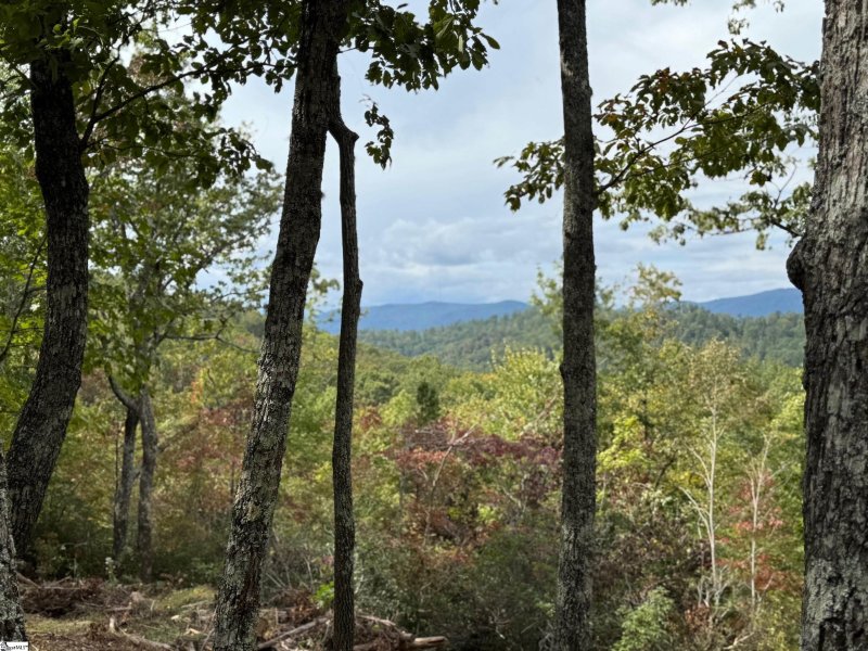 Property image 3 of 220 Blue Bonnet Trail in The Cliffs at Mountain Park, Marietta, SC 29661