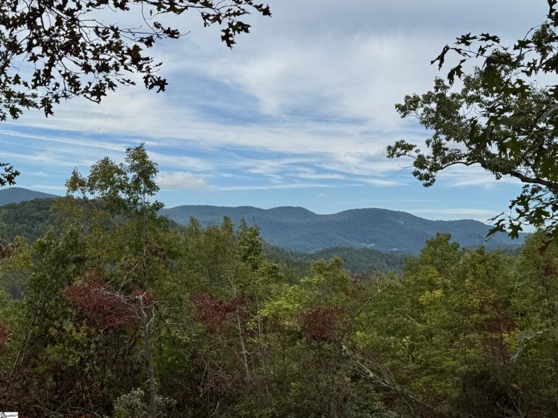 Property image 2 of 230 Blue Bonnet Trail in The Cliffs at Mountain Park, Marietta, SC 29661