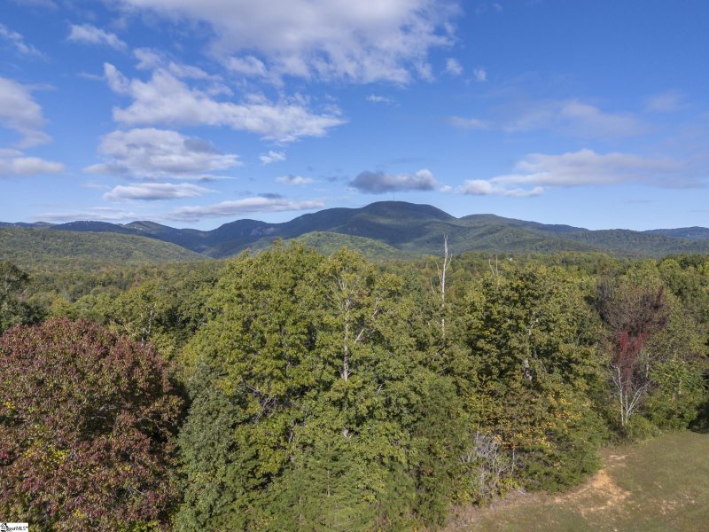 Property image 4 of 100 Pardo Road in Gowans Fort, Landrum, SC 29356